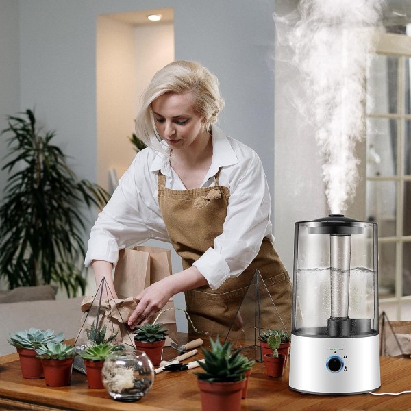 4L Reptile Humidifier Fogger Cool Mist Fog Mister with Tube for Tortoise Habita EU Plug