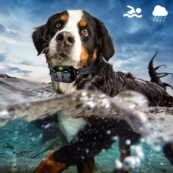 800m Remote Control Stop Barker Dog Trainer Smart Anti-Disturbance Vibration Collar, Specification: With 1 Collar