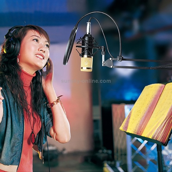 BM-800 Network K-Song Dedicated High-end Metal Shock Mount Microphone Set(Black)