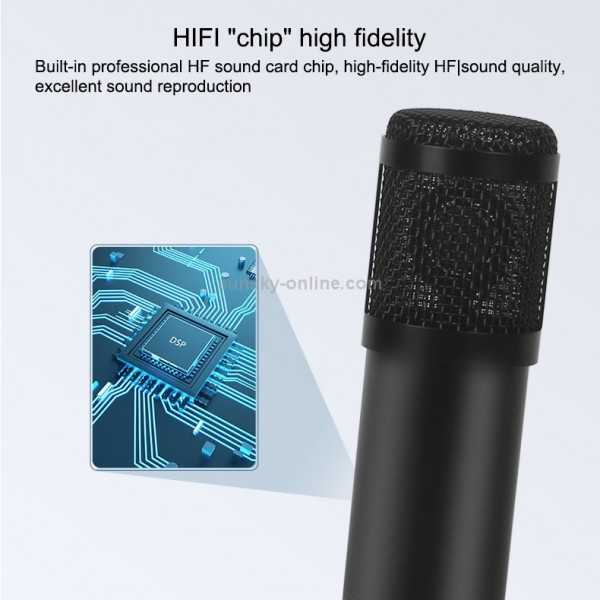 BM-828 Back-pole Diaphragm USB Condenser Microphone Cantilever Bracket Set (Silver)