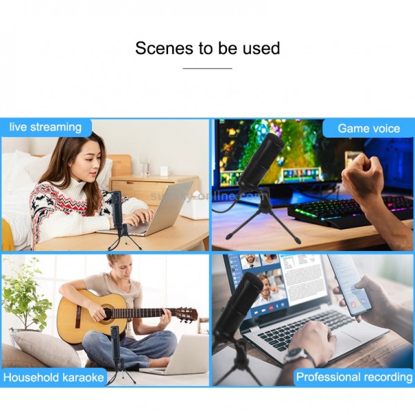 BM-828 Back-pole Diaphragm USB Condenser Microphone Cantilever Bracket Set (Silver)