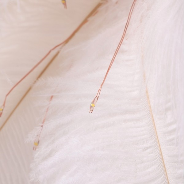 Ostrich Feather Table Lamp Wrought Iron Night Light LED Copper Wire Lamp(Yellow)