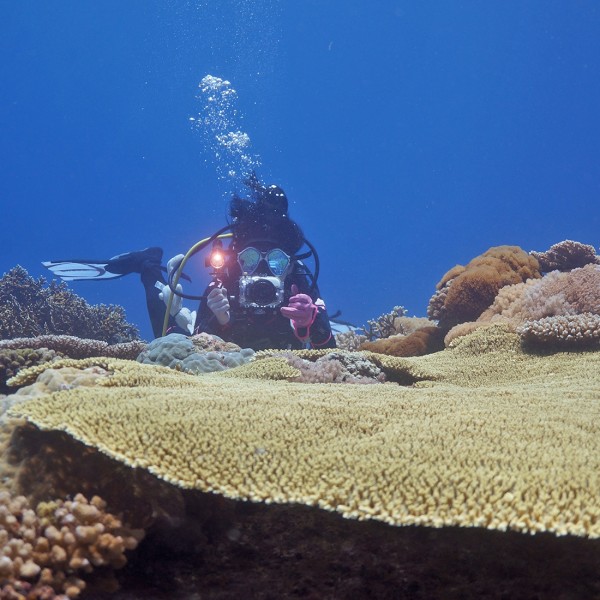 PULUZ 40m Underwater Depth Diving Case Waterproof Camera Housing for Sony RX100 III(Transparent)