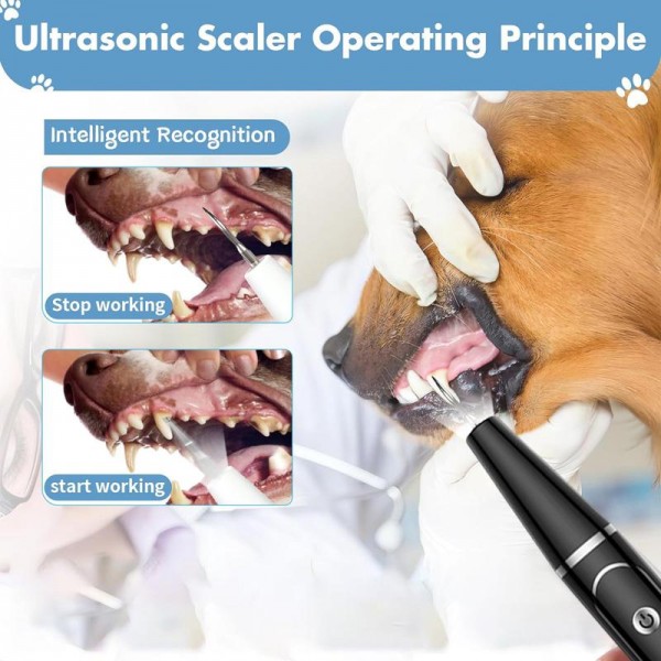 Pet Ultrasonic Teeth Cleaner Dog Tooth Brushing Kit Plaque Tartar Remover Dental Care Tool, Spec: With 3pcs Kit (White)