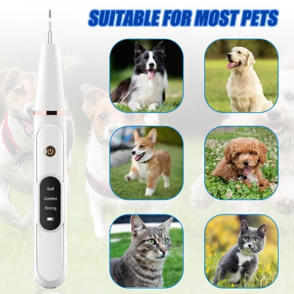 Pet Ultrasonic Teeth Cleaner Dog Tooth Brushing Kit Plaque Tartar Remover Dental Care Tool, Spec: With 3pcs Kit (White)