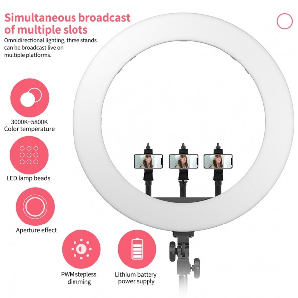 Pixel R60C 60W Live Photography Video Remote Control Ring Fill Light(B Set+UK Plug Adapter)