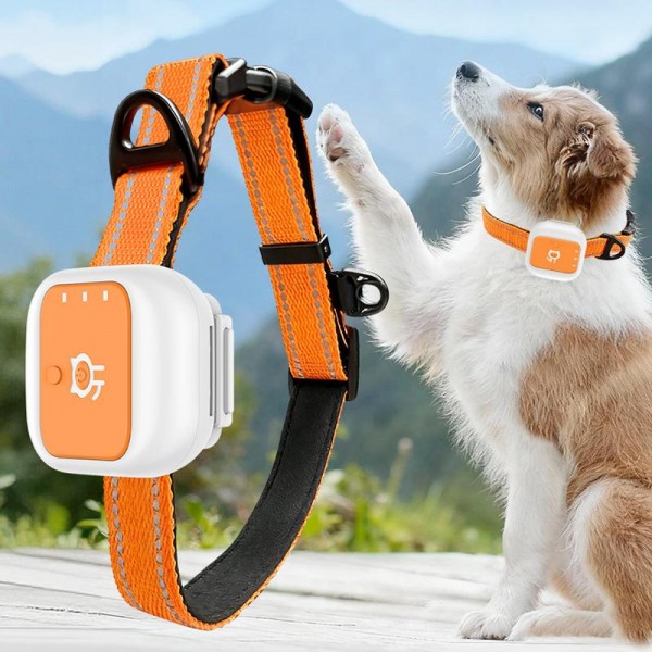 Real-Time GPS/WIFI Location SOS Distress Electronic Fence Alert Pet Collar(Orange)