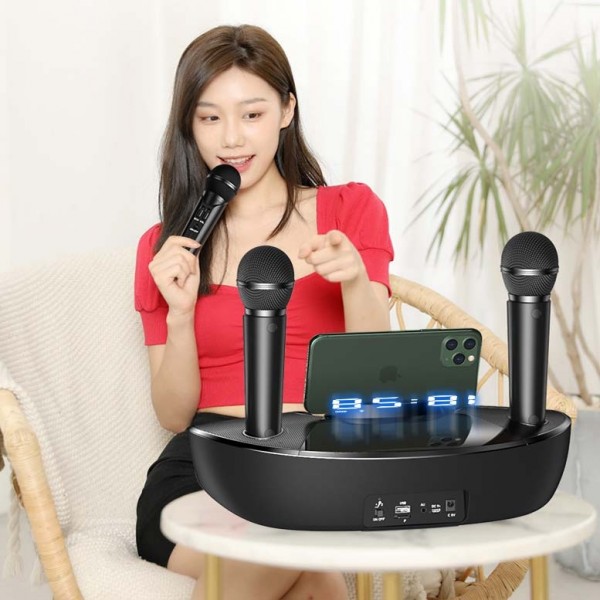 SDRD ST2020 Outdoor Portable Family KTV Live Singing Wireless Bluetooth Speaker Dual Microphone(Black)