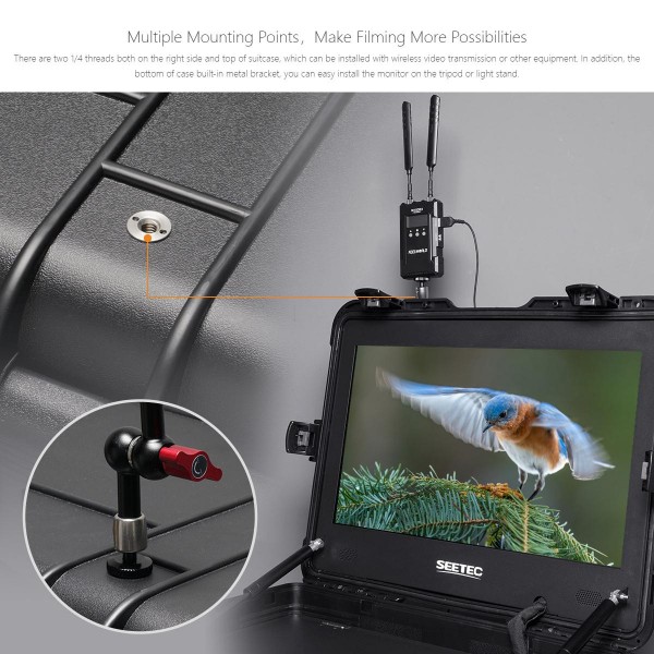 SEETEC WPC215 21.5 inch 1000nit High Bright Portable Carry-on Director Monitor Full HD 1920x1080 Monitor (EU Plug)