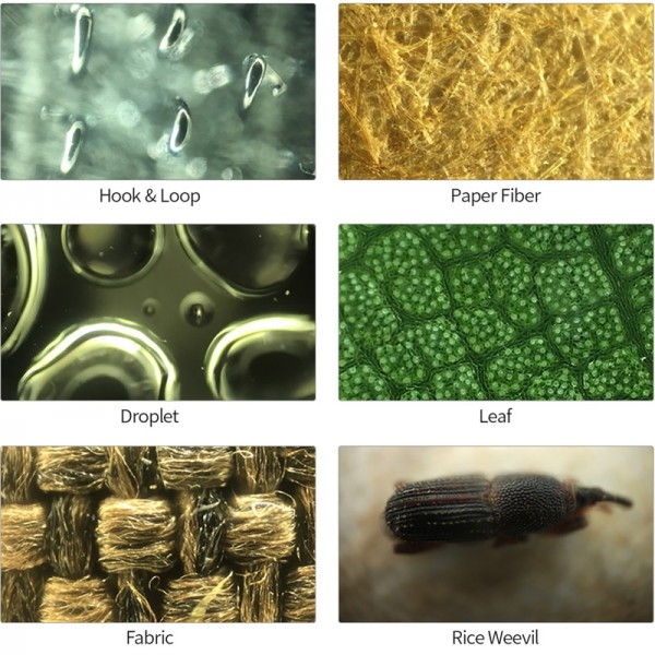 TIPSCOPE Mobile Phone External Lens Microscope High-resolution Lens Mobile Phone External Camera(White)