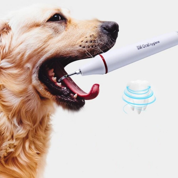 Ultrasonic Dental Washing Machine for Pet Dog Teeth Stone Remover, Plug Specifications:CN Plug(Pink)