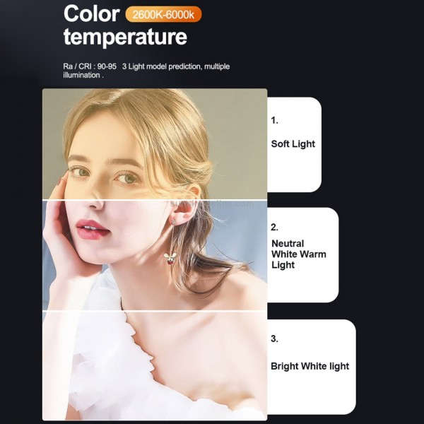 Z2 Oval Digital LED Fill Light Pocket Portable Fill Light Handheld Photography Live Broadcast Light (Black)