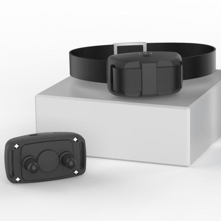 Dog-Training-Device-Remote-Control-Bark-Control-Charging-Waterproof-Pet-Training-Collar-with-Electric-Shock-VibrationBlack-TBD0537577701B