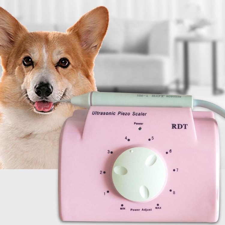 Ultrasonic-Dental-Washing-Machine-for-Pet-Dog-Teeth-Stone-Remover-Plug-SpecificationsCN-PlugPink-TBD063088101A